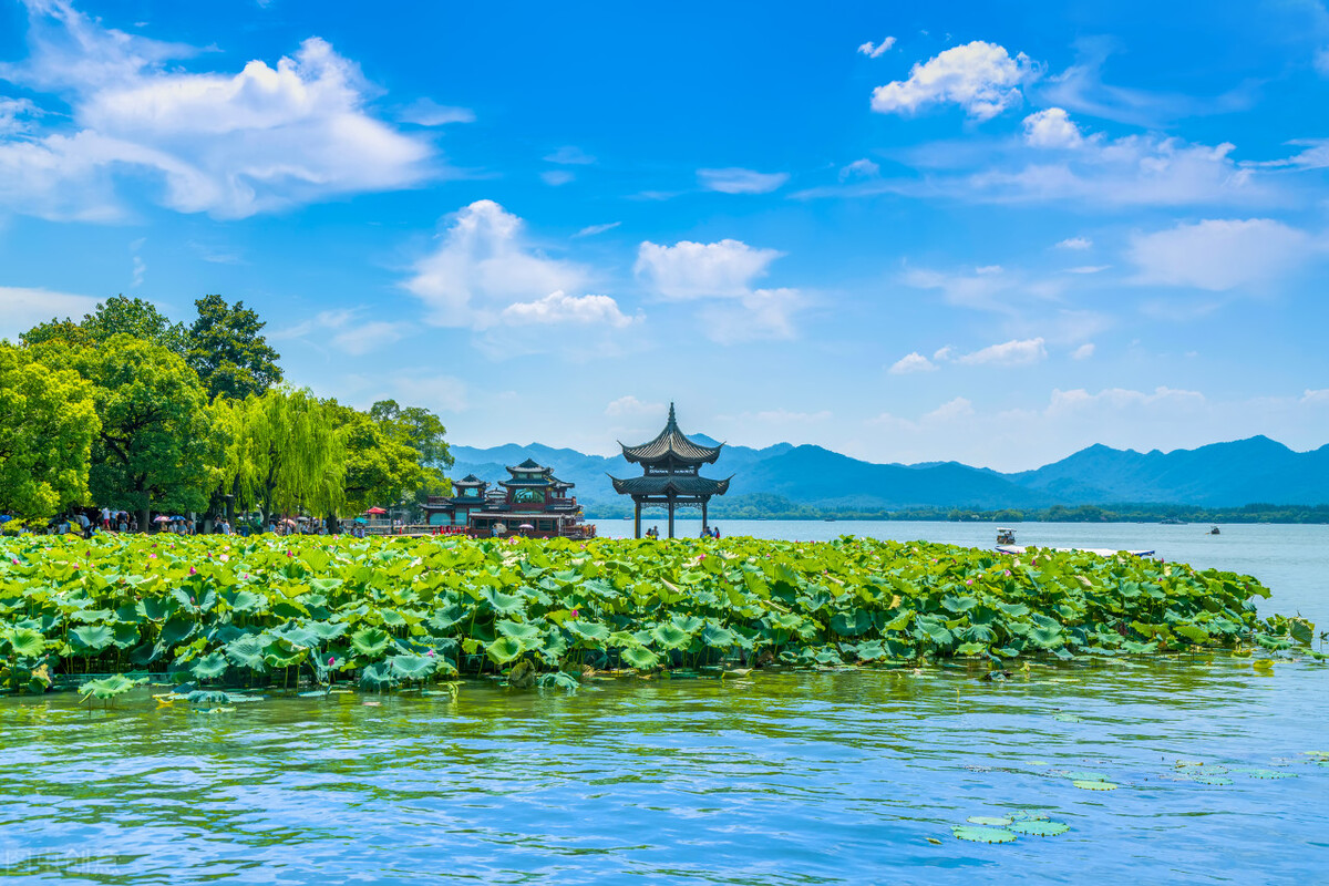 心情失落让人心疼的短句,心情失落伤感的说说短语