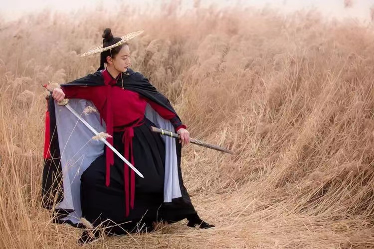 唐宋小说女侠形象的比较研究,古代小说悍妇形象研究