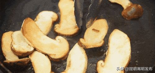 孩子开车撞人去自首,儿子开车撞人最后自首