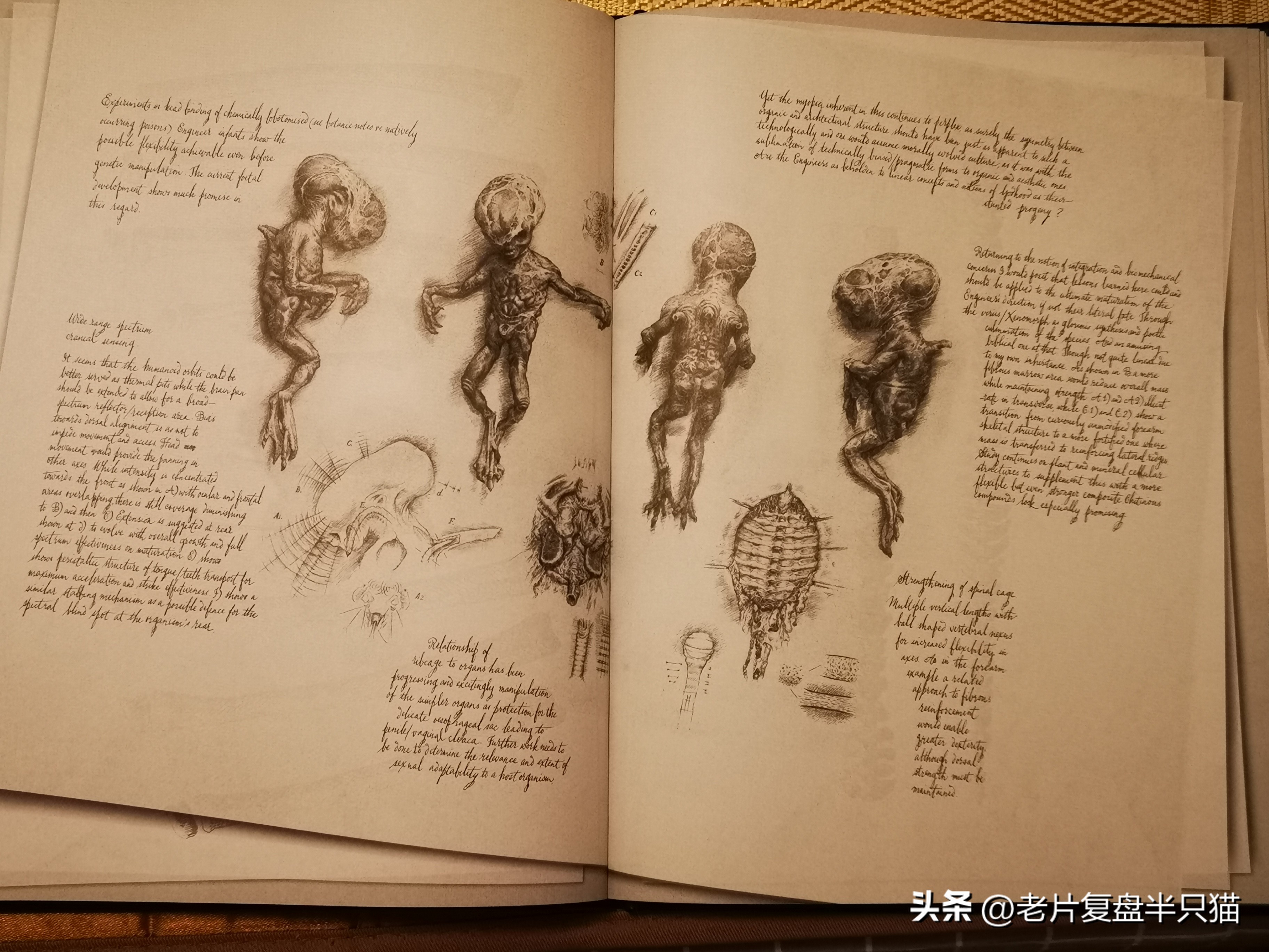 仿生人大卫的秘密,仿生机器人大卫