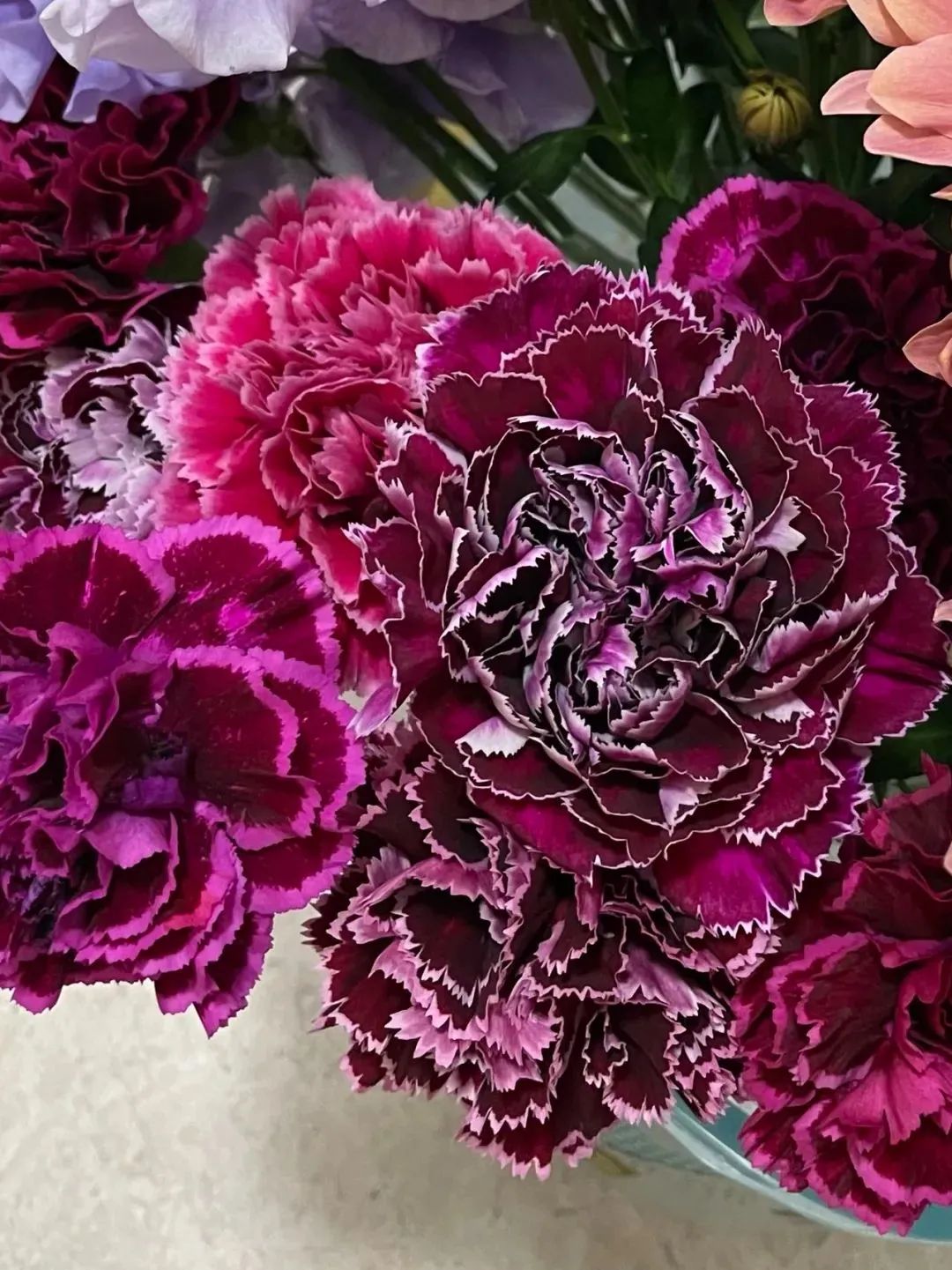 新手必看鲜花养护攻略,鲜花在水里能养几天会死