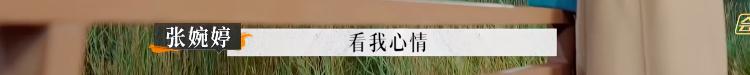 张婉婷宋宁峰最终结果,宋宁峰张婉婷细节分析