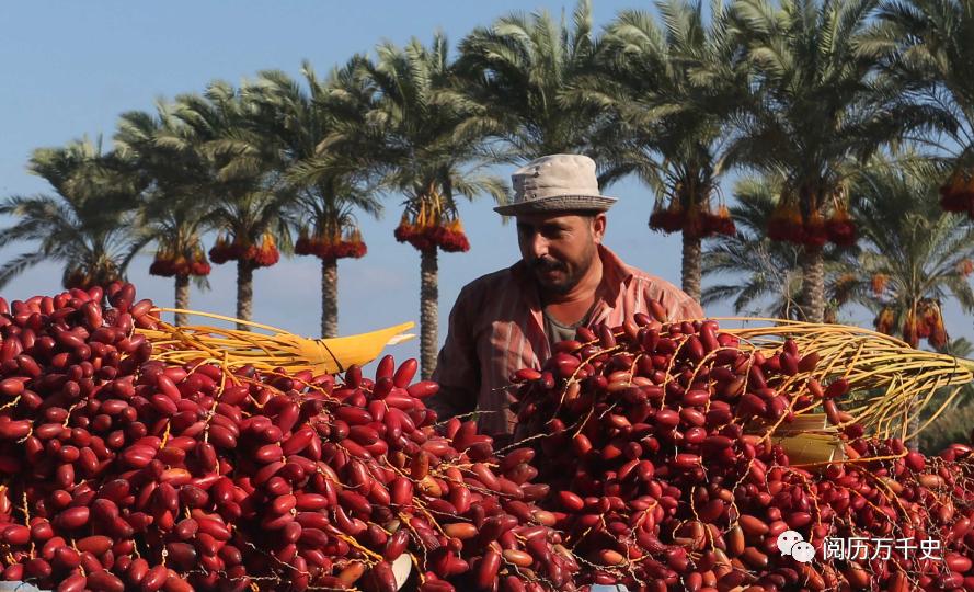 沙特阿拉伯为什么被称为石油王国,阿拉伯地区是名副其实的石油王国