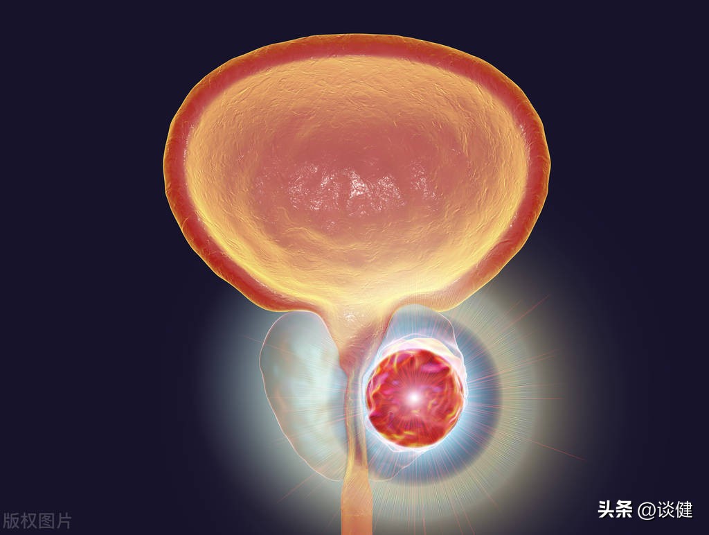 高龄老年人免疫增强,老年健康照顾与促进