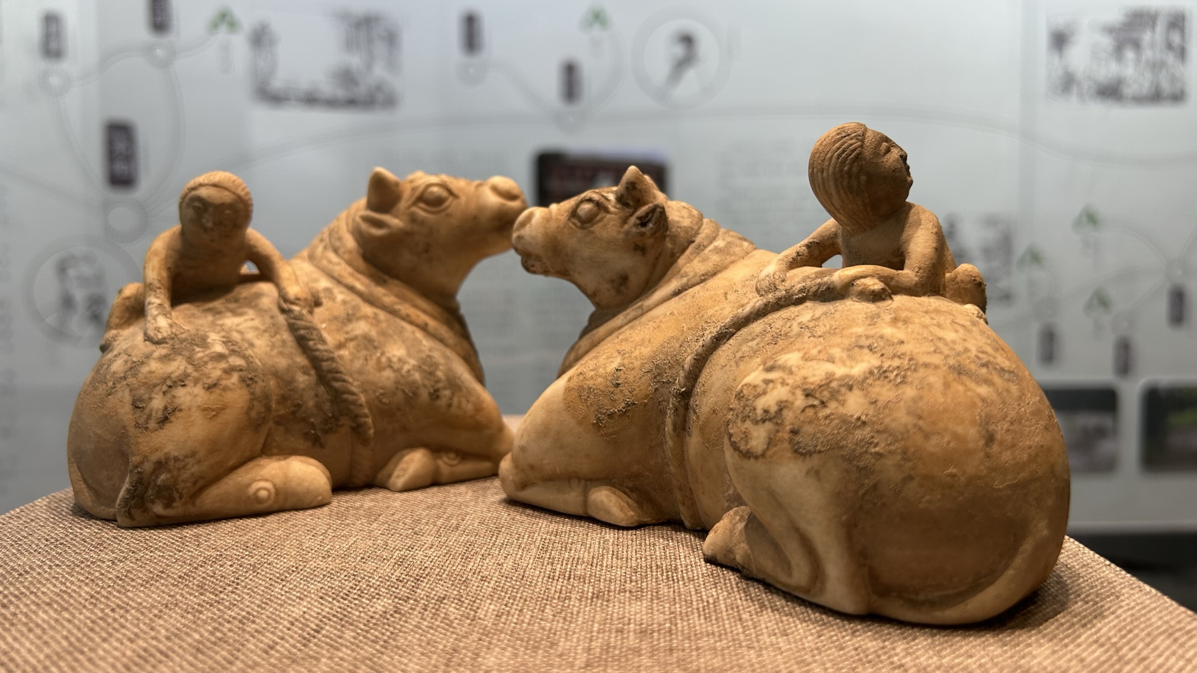 济宁各县市区,济宁市区的生活