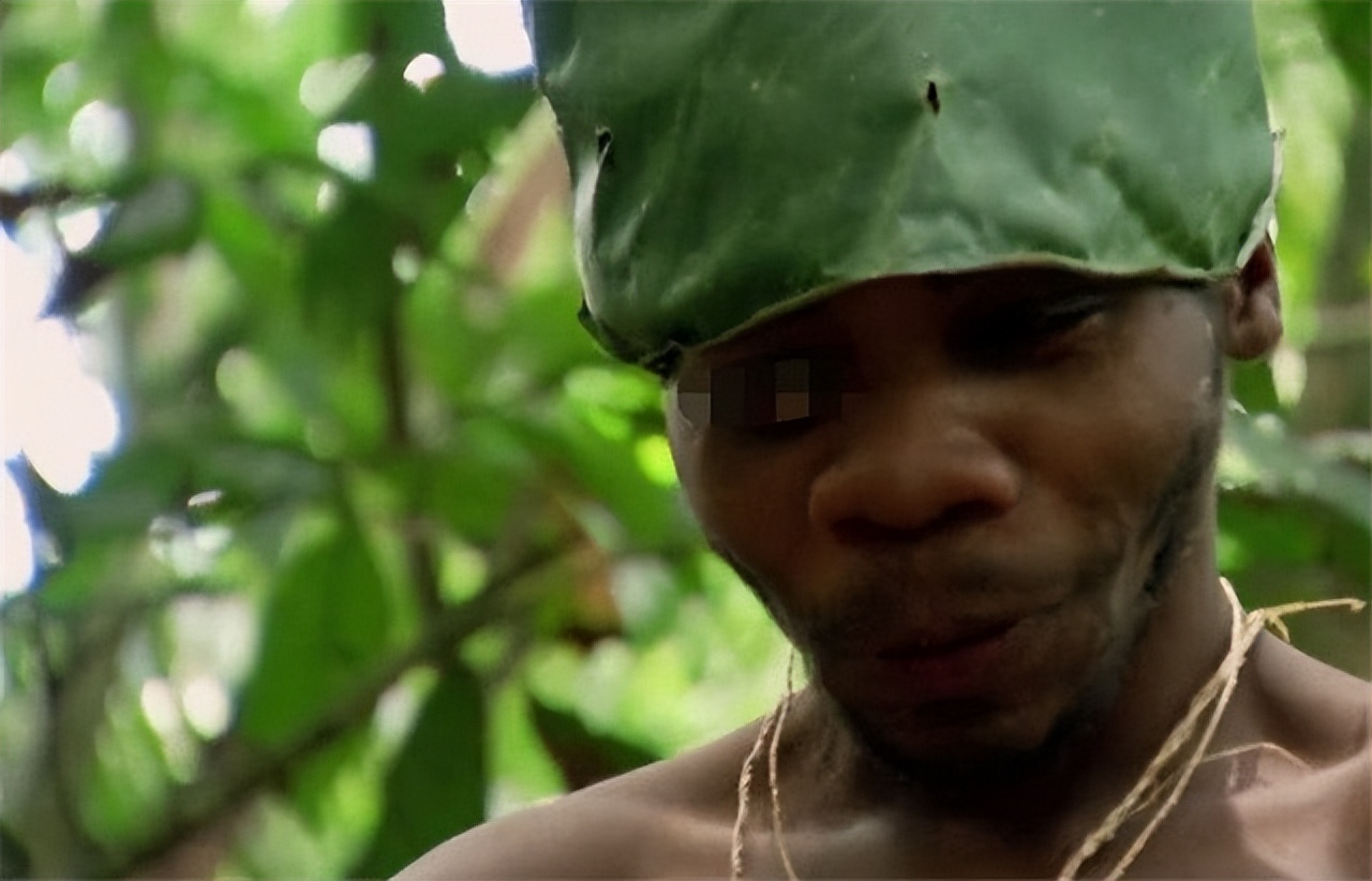 非洲巴卡部落：男人捕杀六米巨蟒，女人挖洞抓非洲巨鼠