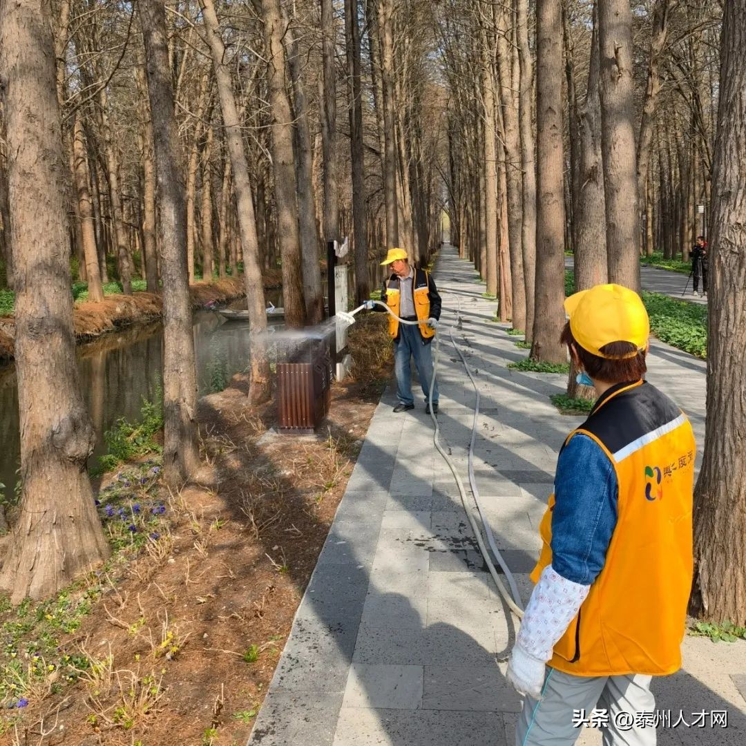 里下河国家湿地公园【李中水上森林公园】：解锁沉浸式旅游新玩法