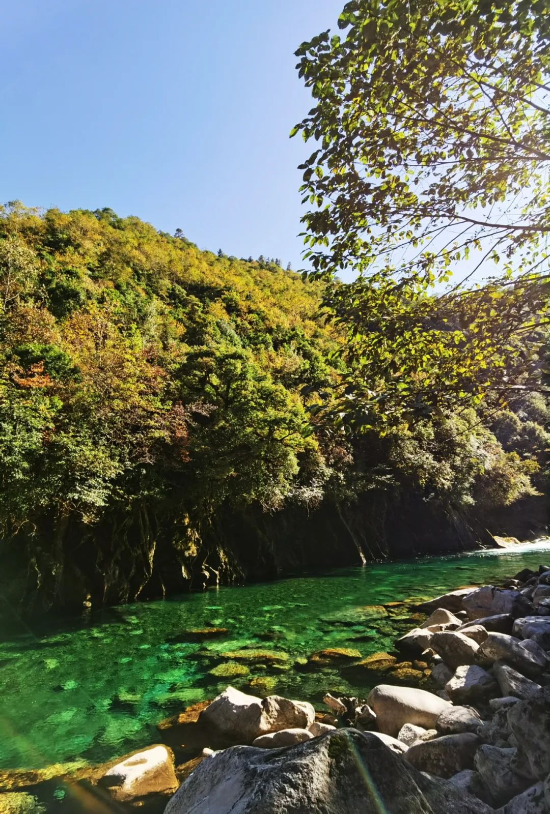 云南西双版纳跨省游最新通知,云南跨省游最新通知