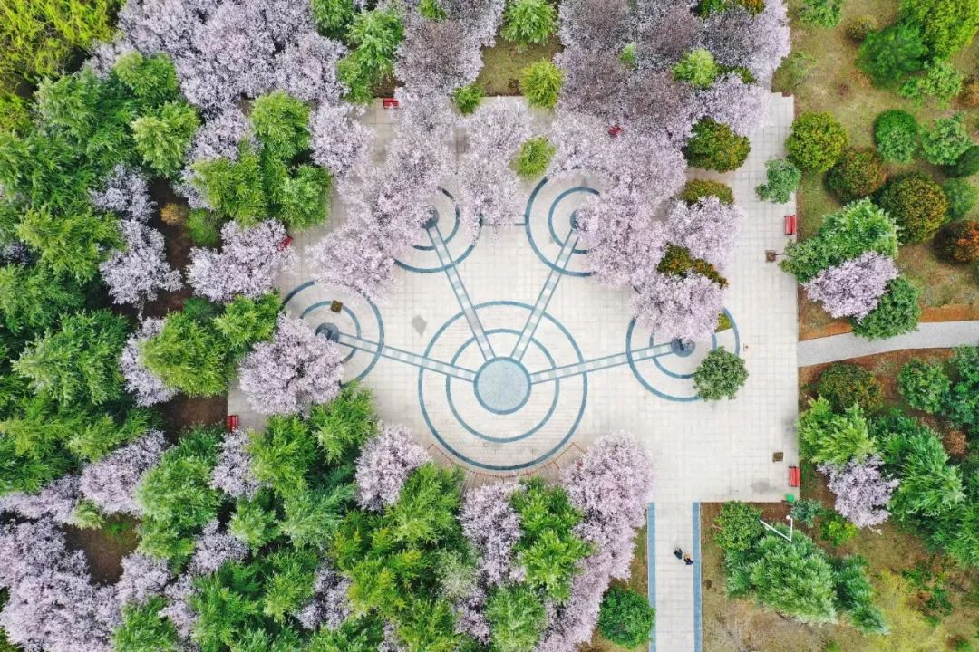 多少分，能上河南理工大学？