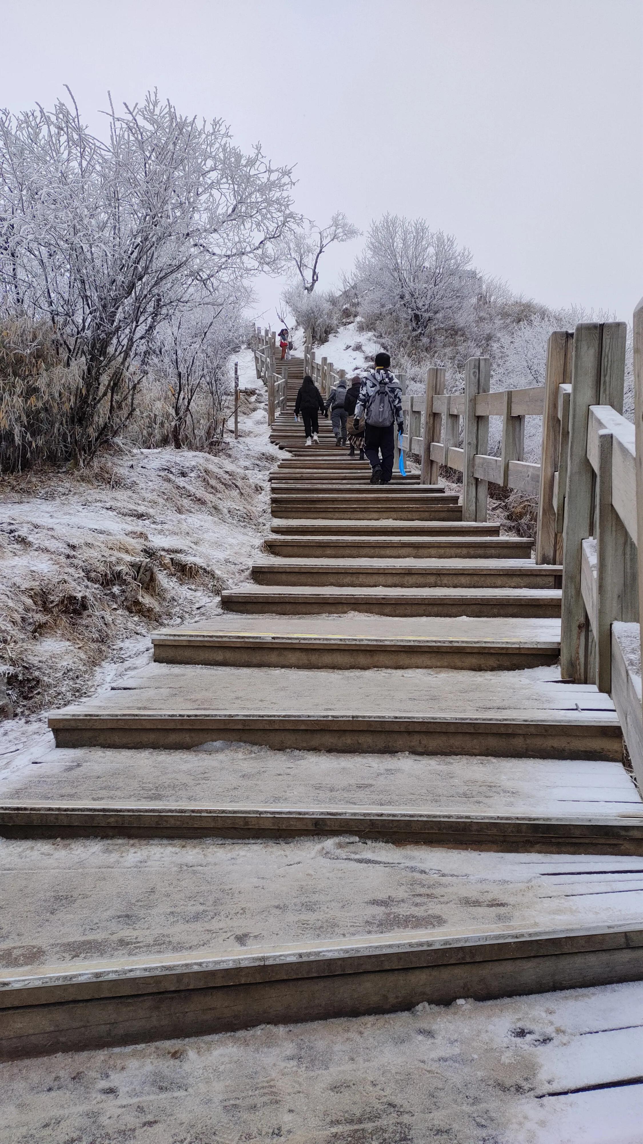 2022年西岭雪山,西岭雪山一日游详细攻略