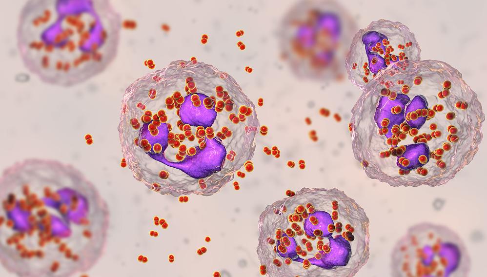 得了尿道炎会有哪些症状,尿道炎和膀胱炎的症状有什么区别