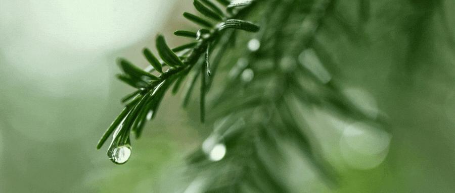 格力营运资金管理,格力电器现金流管理