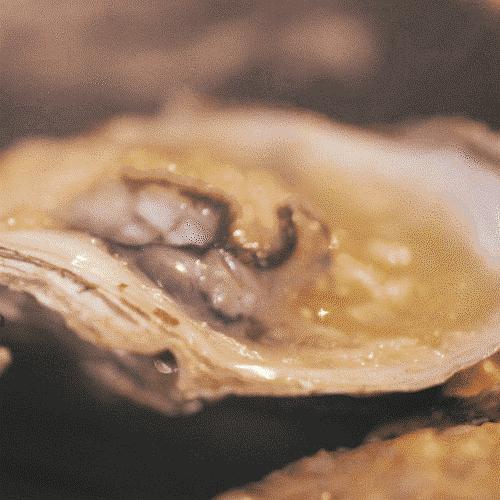 广东湛江美食最全攻略,湛江和广州美食对比