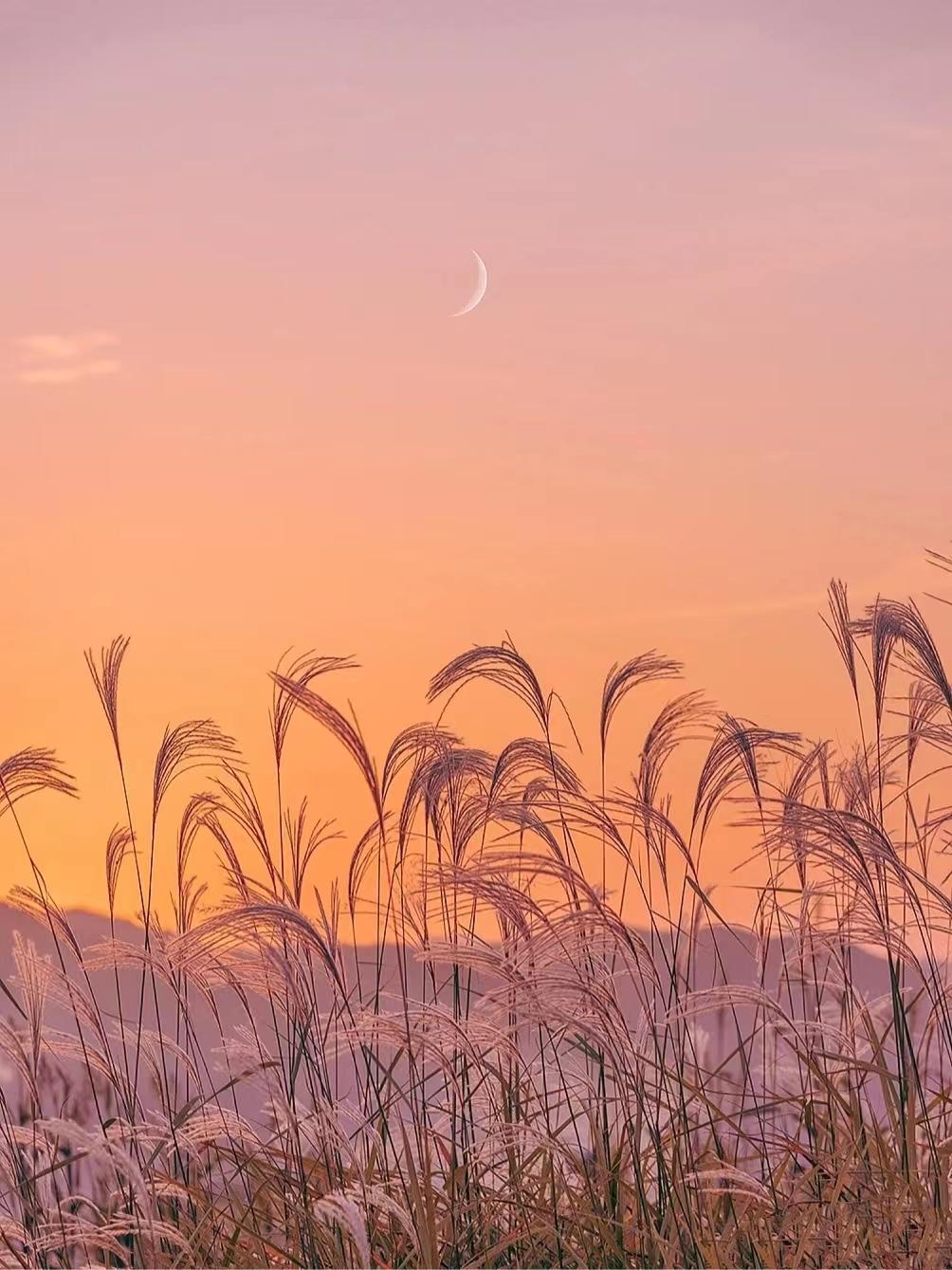 壁纸图片治愈系动漫风景,尼罗河山水治愈系风景壁纸