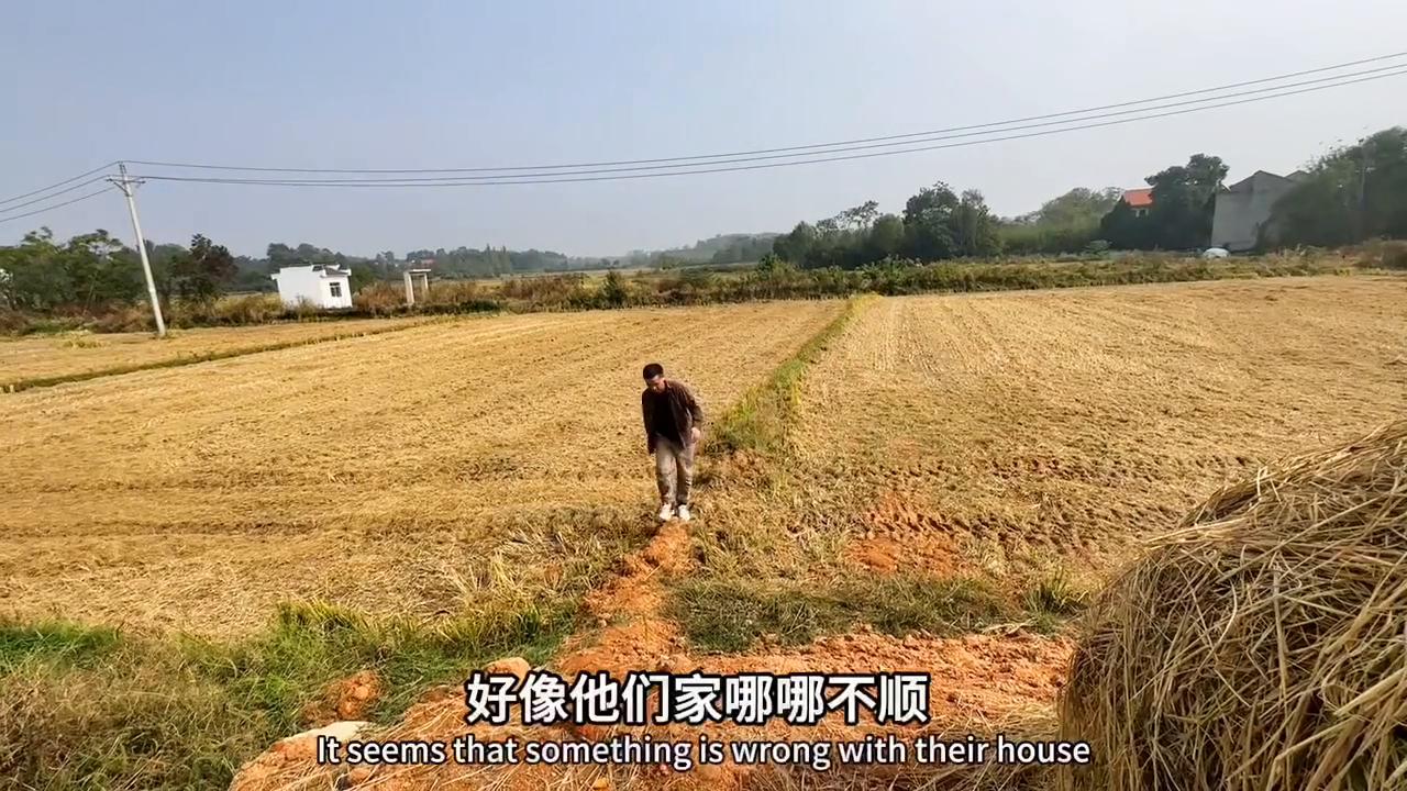 如果媳妇对你不好怎么办,媳妇对你冷淡该怎么做