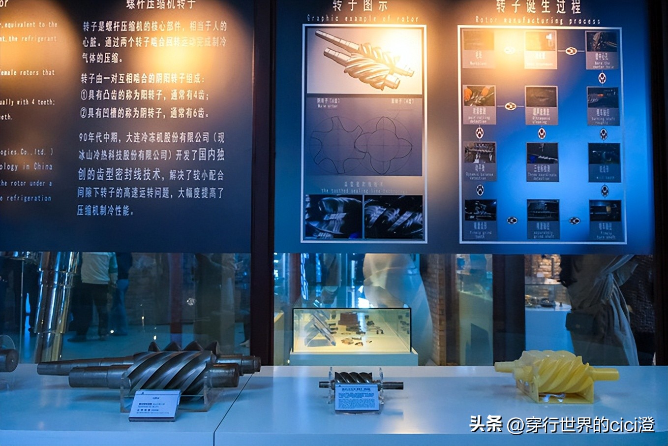 大连一日游都可以玩什么,大连一日游旅游攻略