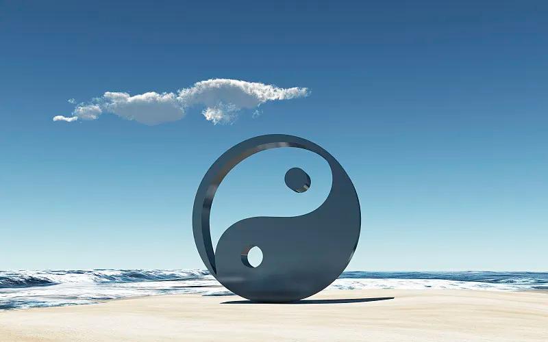 张再林的英语,张再林身体哲学