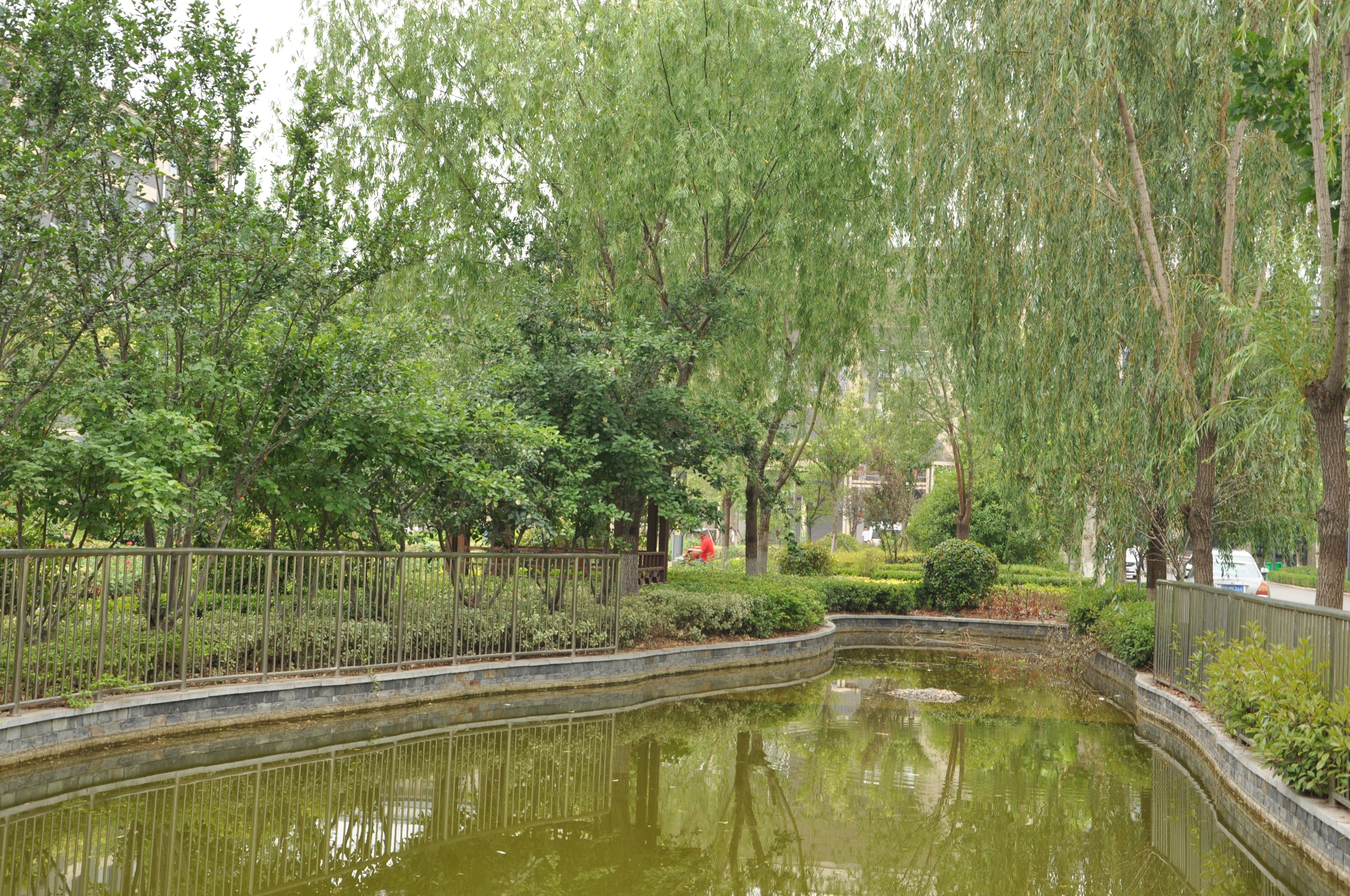 NikonD90——我人生第一台相机