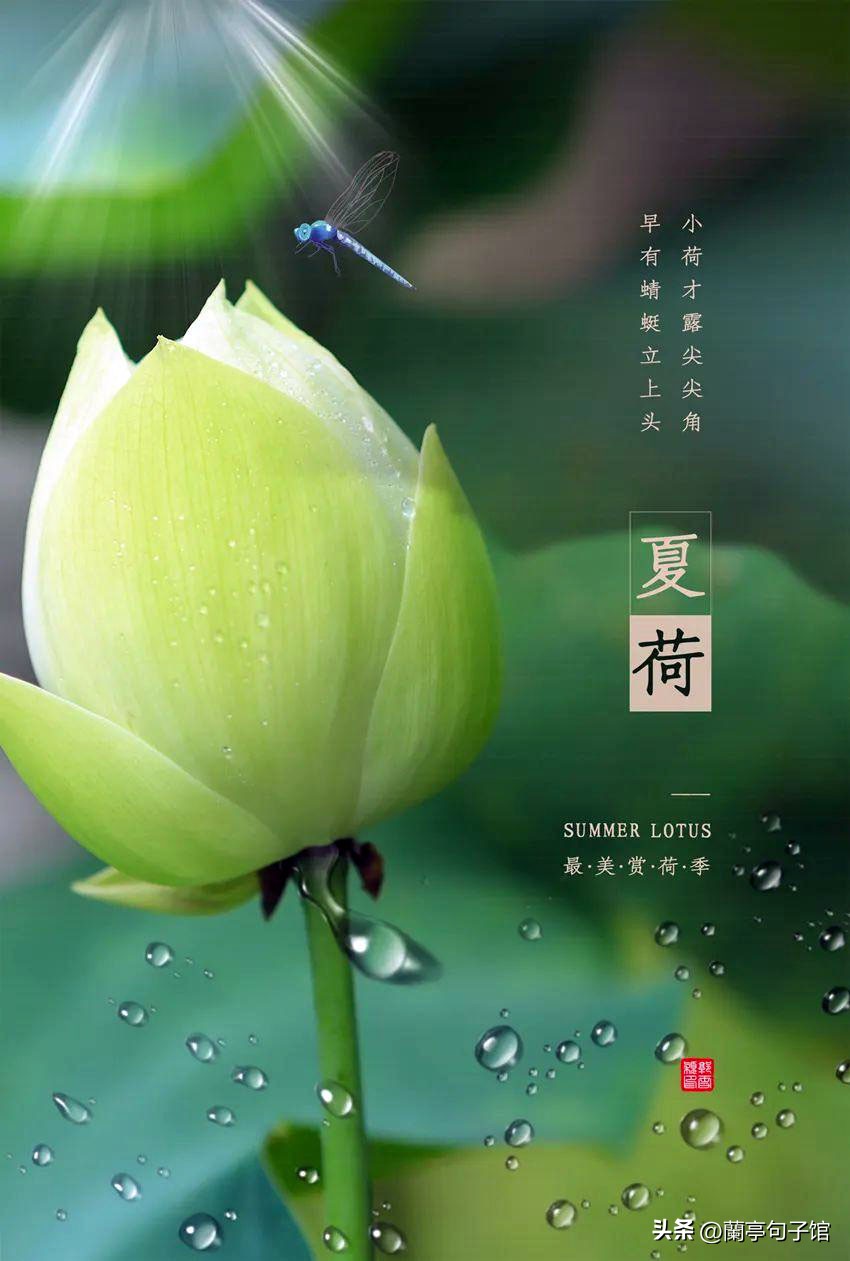 科普知识二十四节气之立夏,二十四节气立夏祝福寄语pdf