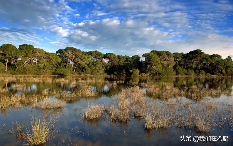 希腊人平均寿命,希腊人均寿命