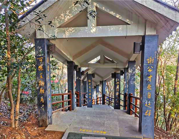 东山公园登顶看美景,东山公园景区游记