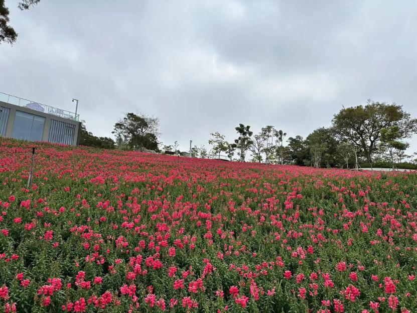 厦门山海健康步道林海线全攻略,厦门健康步道林海线二期正式开放