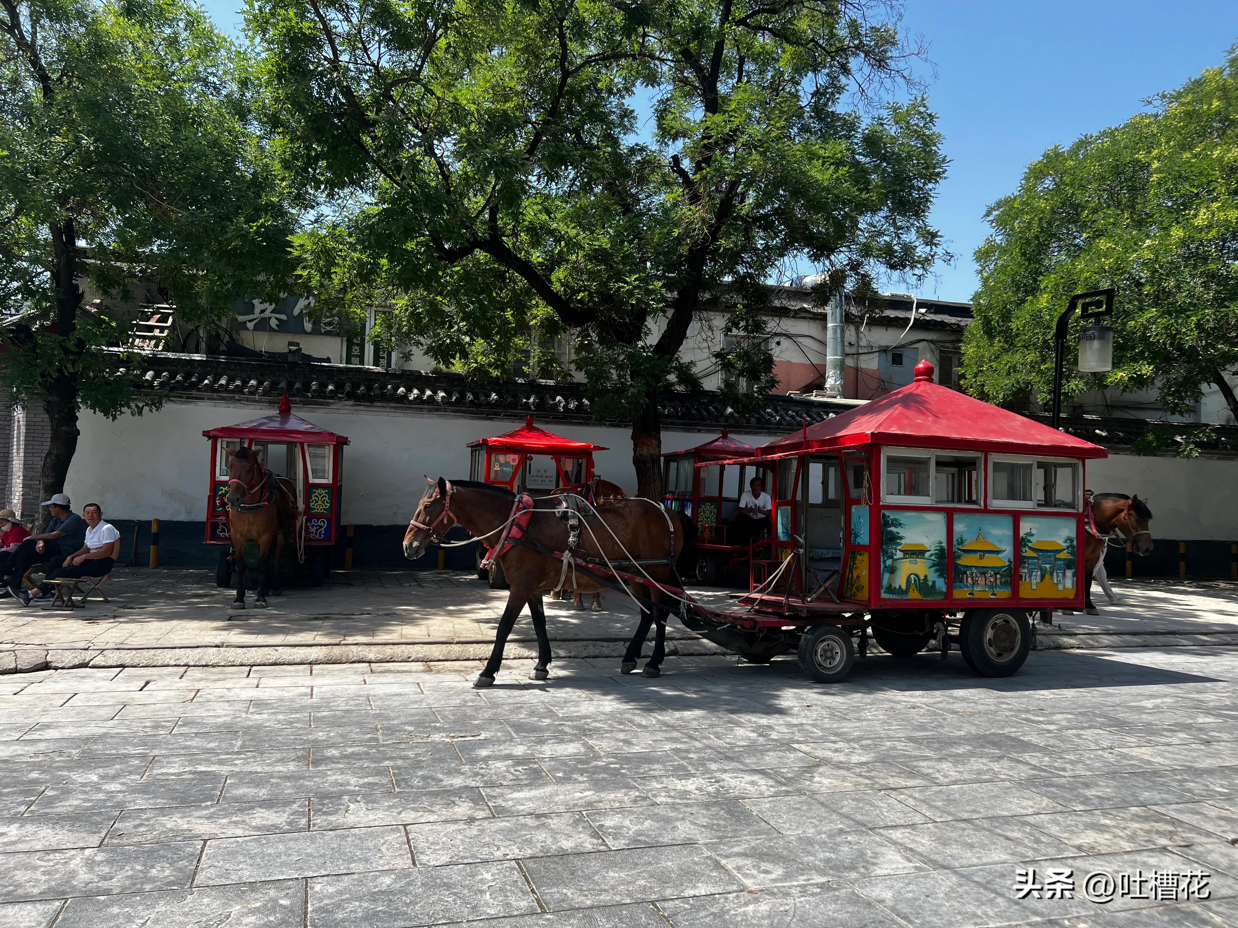 37℃，高温下逛完孔庙，孔子姓啥
