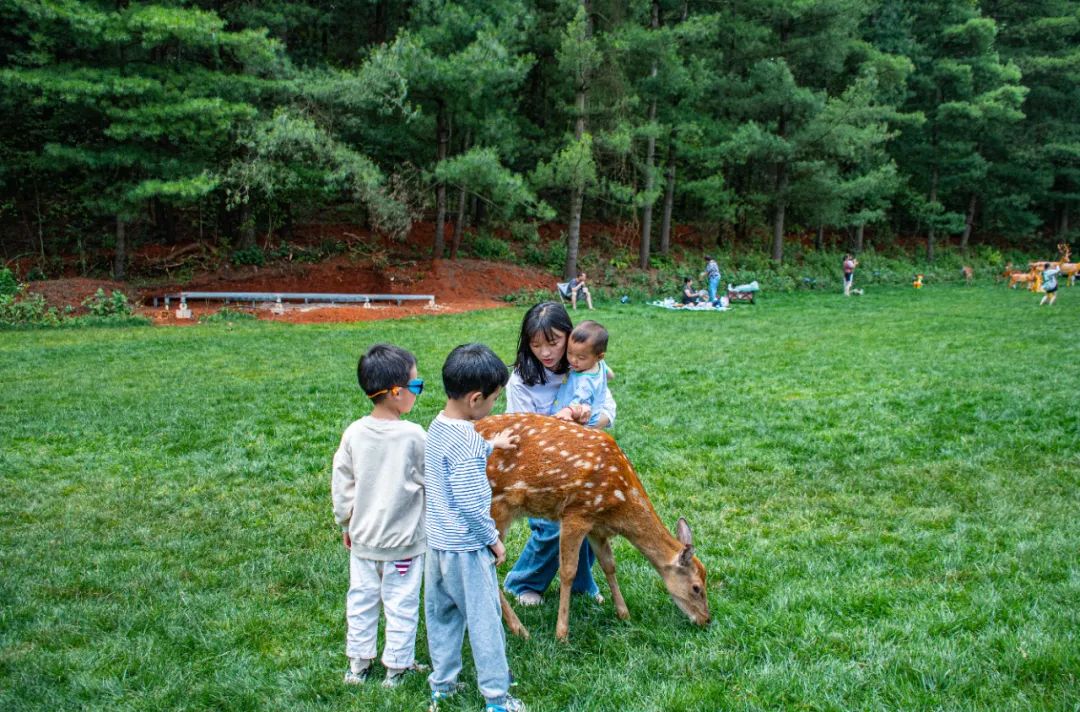 昆明周边旅游的好去处,常见的昆明周边度假攻略