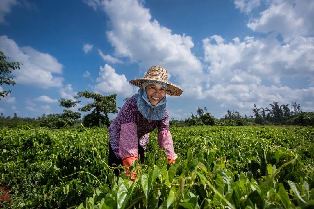 海口琼山区什么时候崛起,琼山区是海口的主城区吗