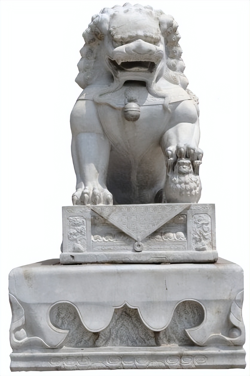 总有一种美会惊艳到时光,有一种玫瑰永不凋零