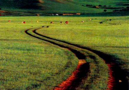 构图元素,构图元素讲解视频教程