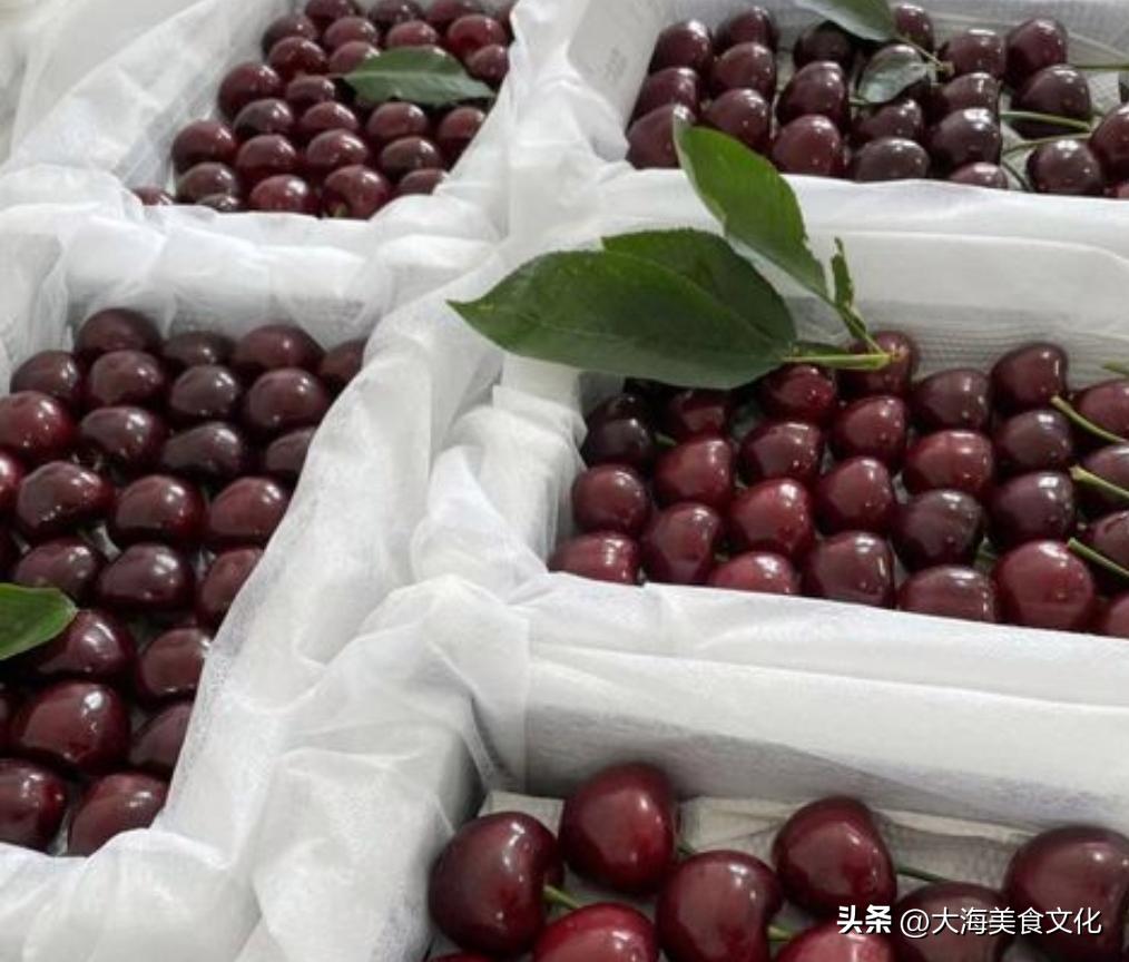 大连樱桃吃多了会有什么坏处吗,大连樱桃到底多好吃