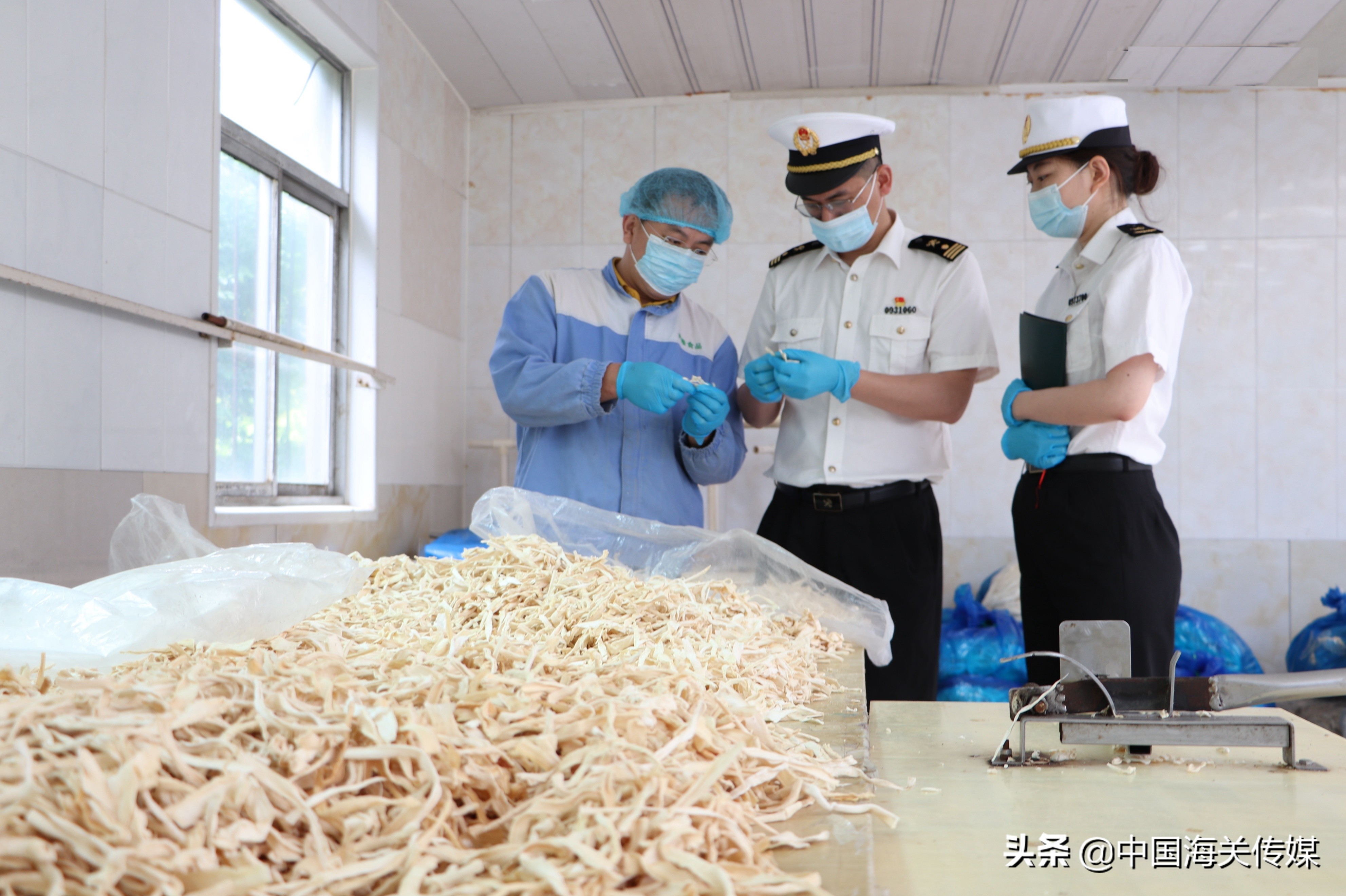 葫芦条产业,葫芦转型成功