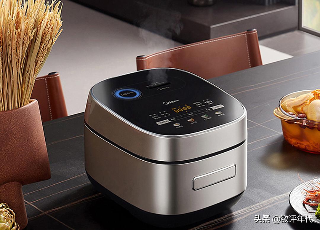 电饭煲哪一个小众品牌好,2022电饭煲十大品牌排行