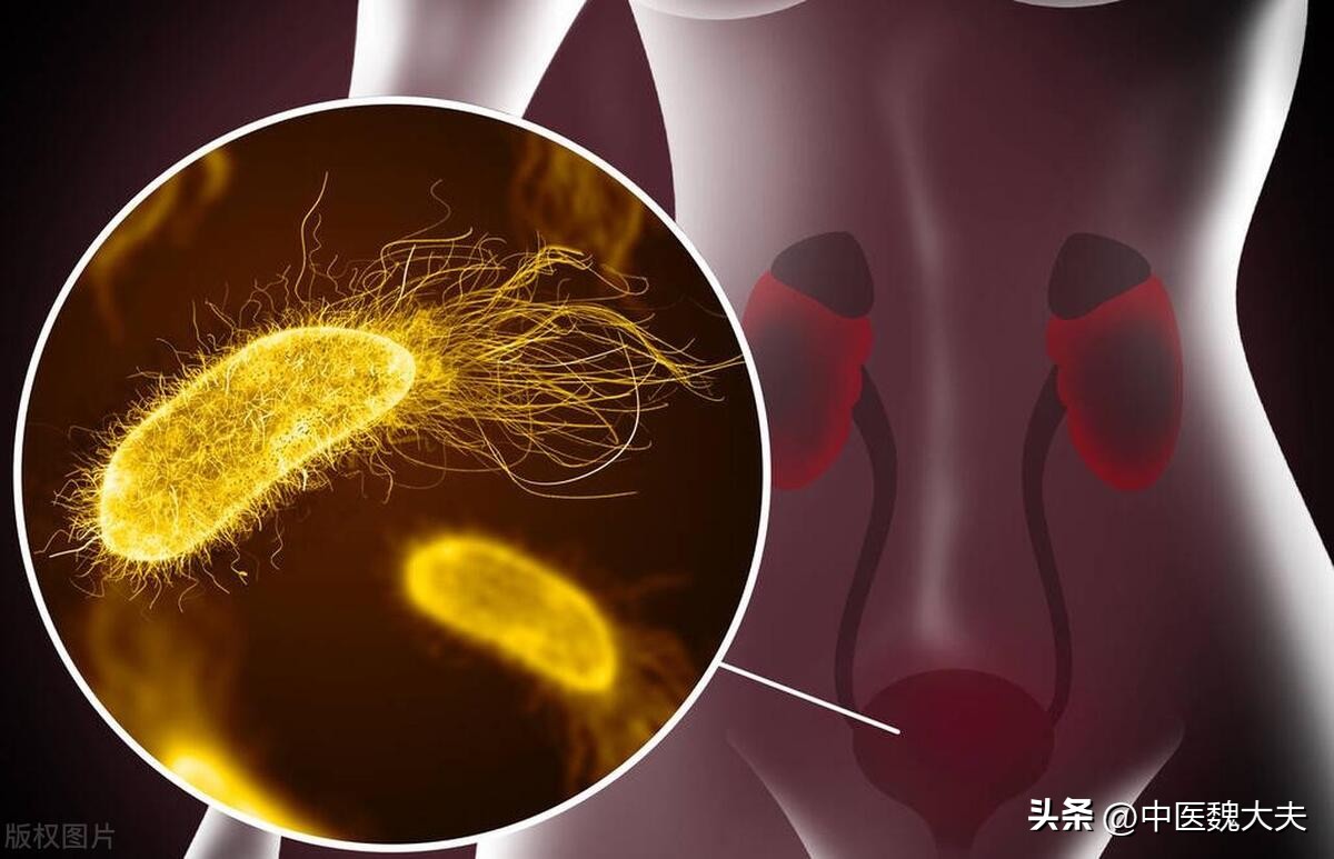 单身女性三大危害,一位单身女士的困惑