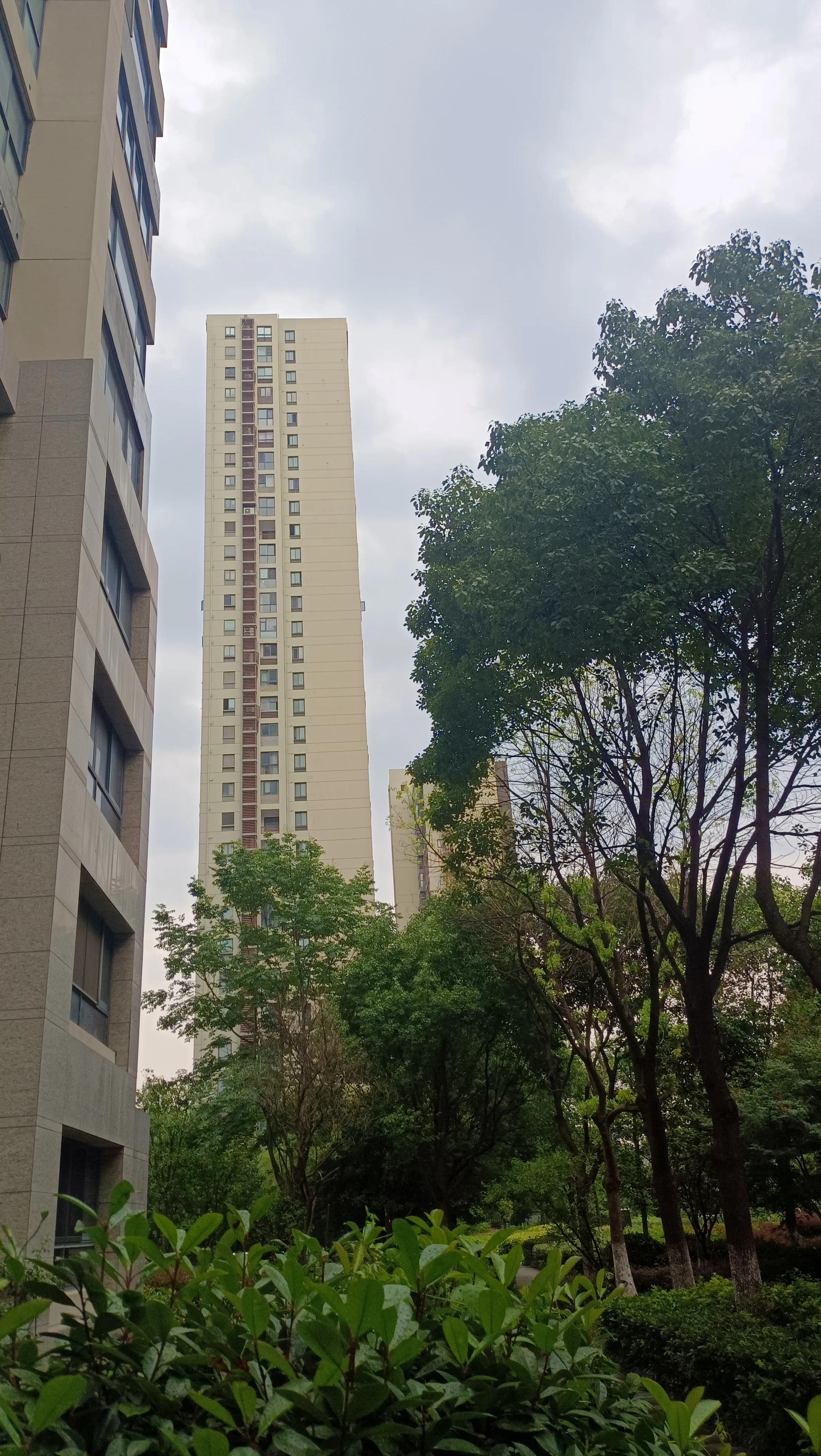 叔本华解决痛苦的两个办法,叔本华治本之法