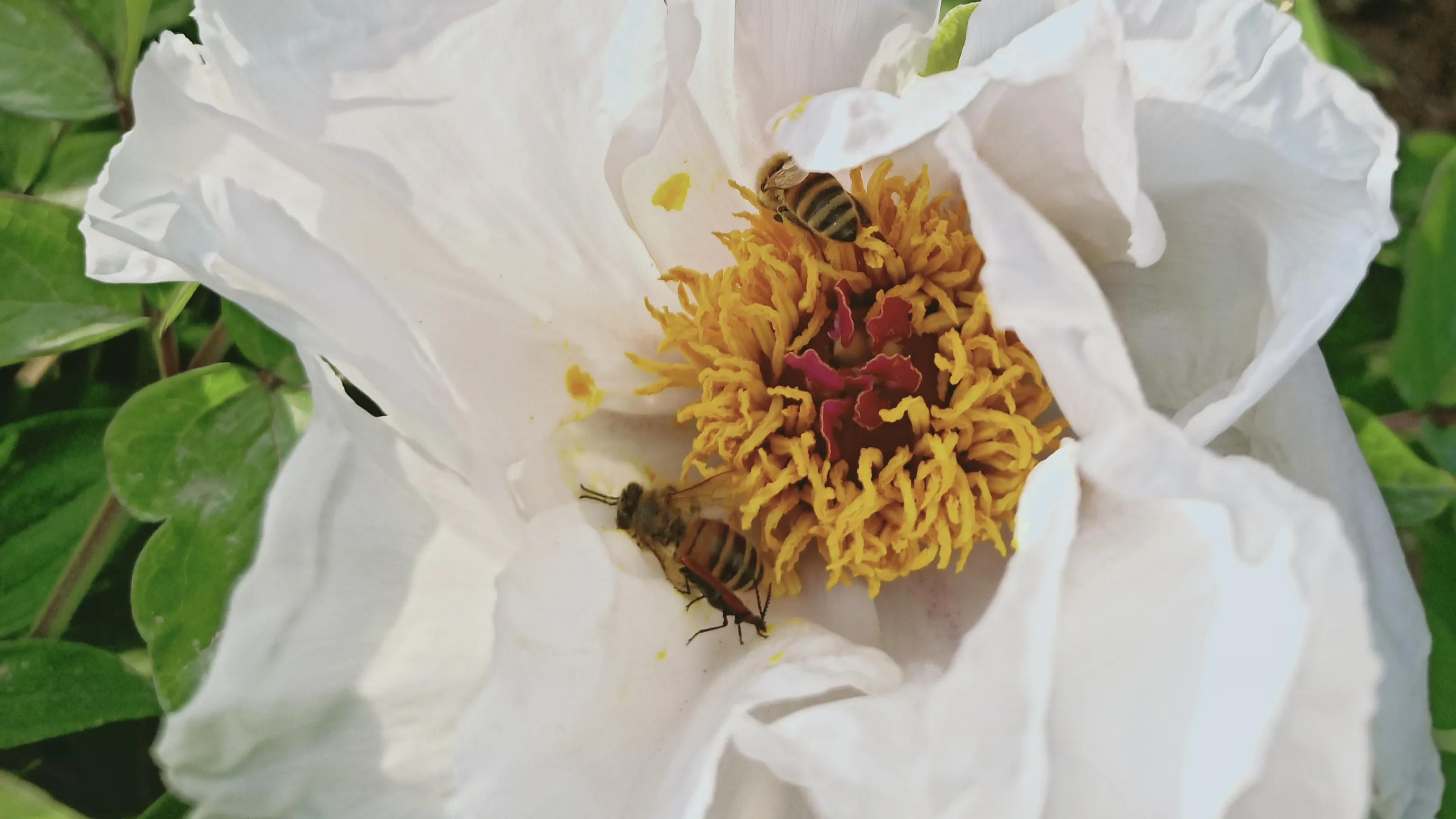 性是第一位的——女人会爱上多个男人合理吗因爱而性、因性而爱