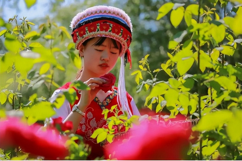 清明哪里适合踏青旅游,清明踏青好去处赏景玩乐两不误