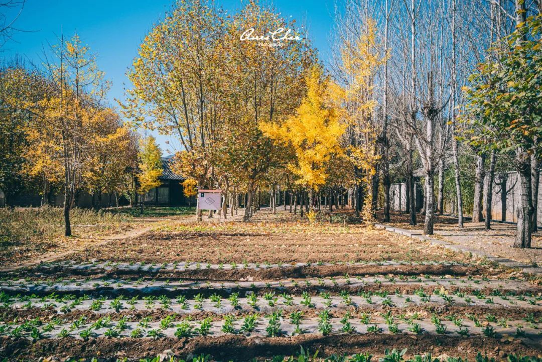 丽江悦榕庄酒店用餐,云南丽江悦榕庄酒店价格