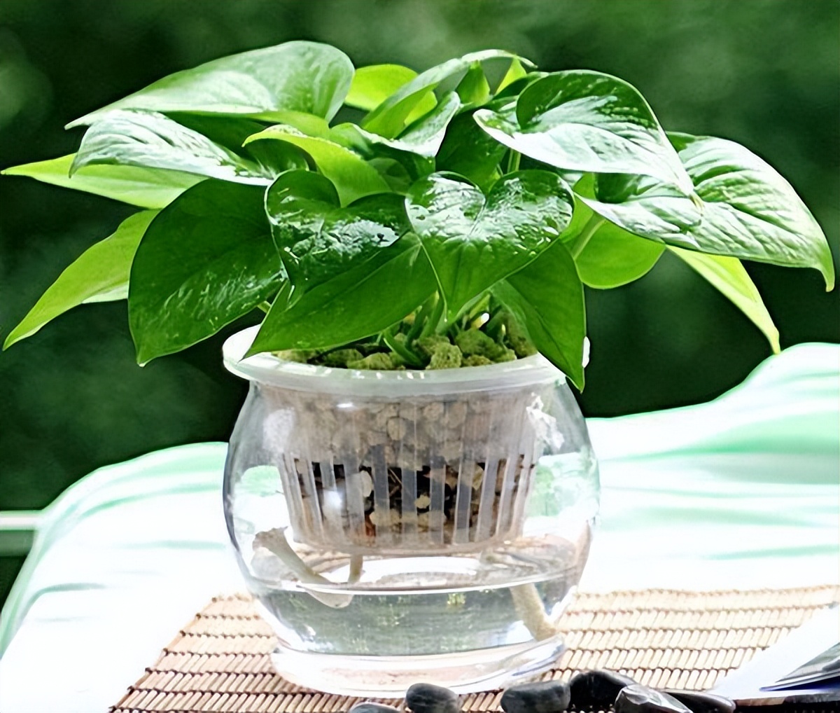 甲醛最怕这3个“土方法”，省钱又靠谱，让你快速入住新房