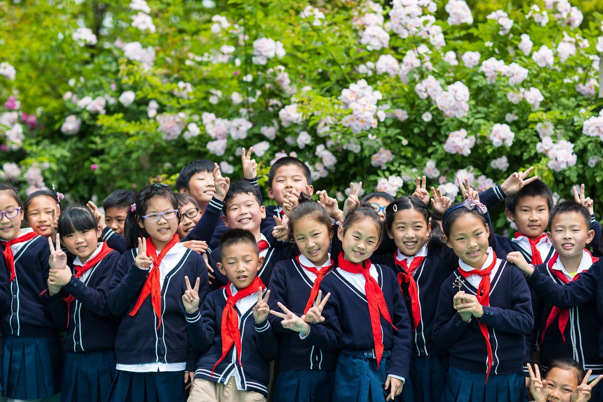 南京致远外国语小学分校,南京致远外国语小学的介绍