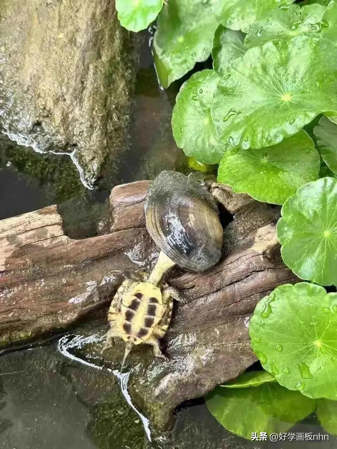 女生裤子不宽松,女生裤子最好不要混穿
