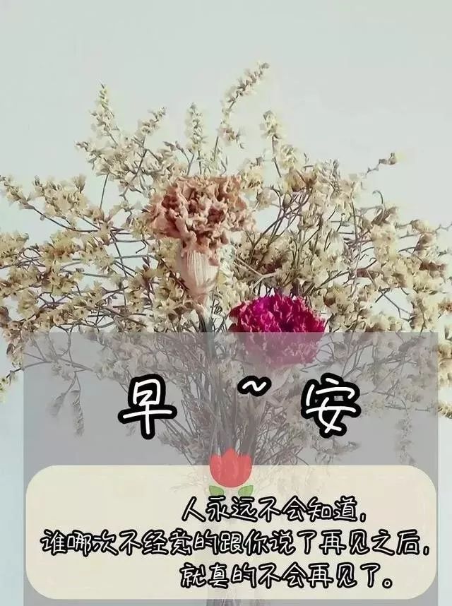 早安心语每日一句正能量短句图文,早安心语励志语录精辟