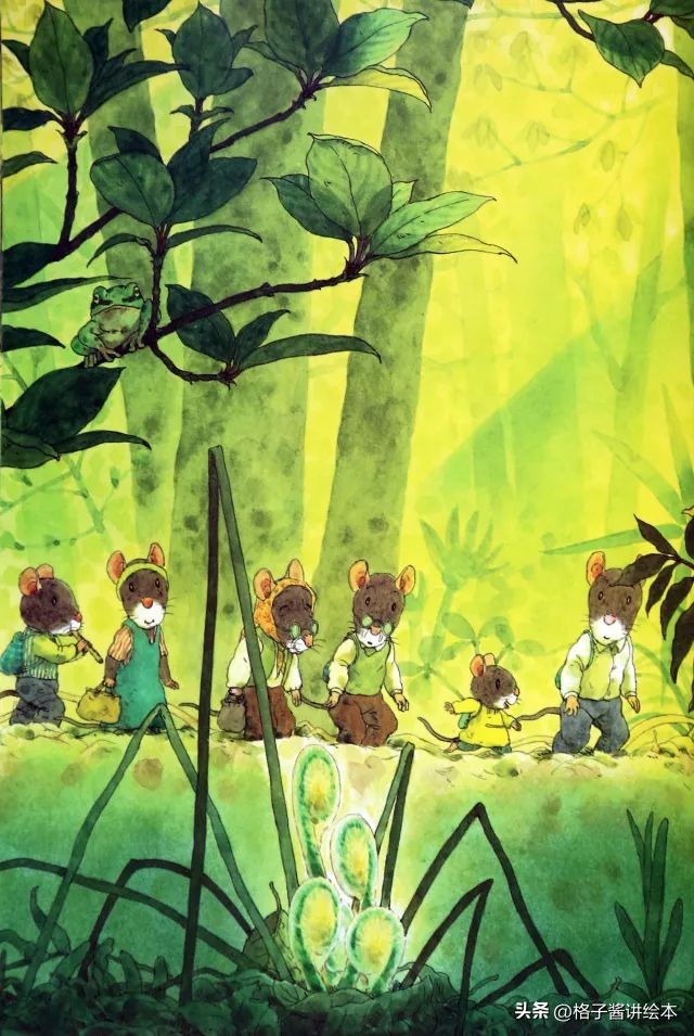 绘本十四只老鼠去春游简介,绘本14只老鼠去春游视频