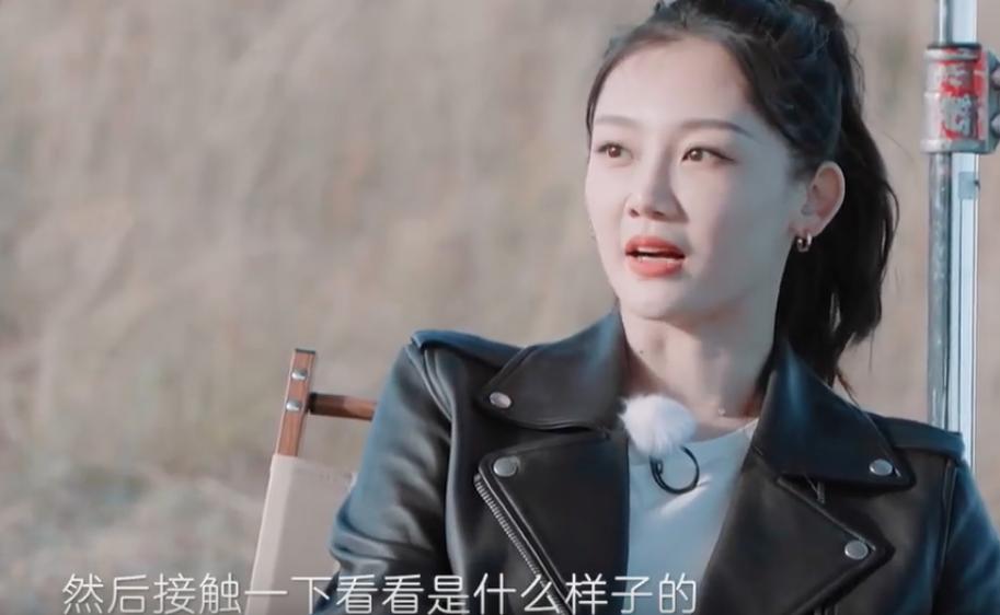 郑恺苗苗究竟有多精明,苗苗郑恺善解人意