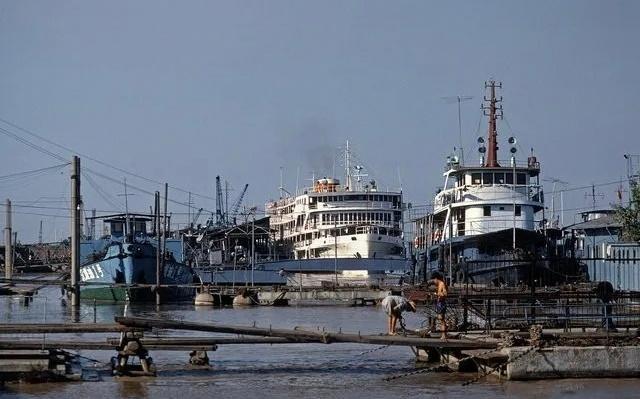 农村搞笑卖猪视频,80年代农民卖猪图片图文