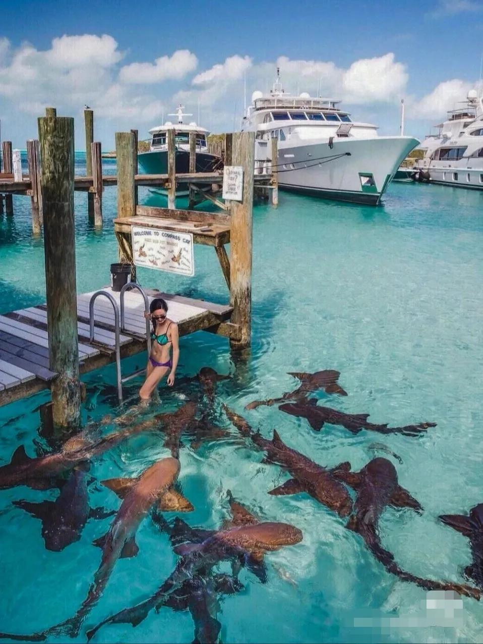 死亡使者约瓦安,死亡使者战斗力