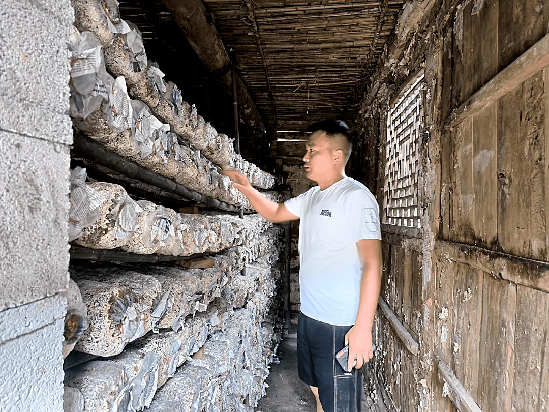 庭院经济成农民增收致富“聚宝盆”