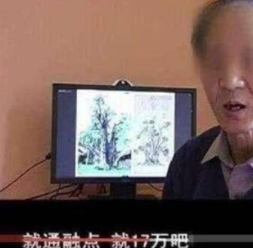 专家17万骗走真迹,专家骗走8700万的名画