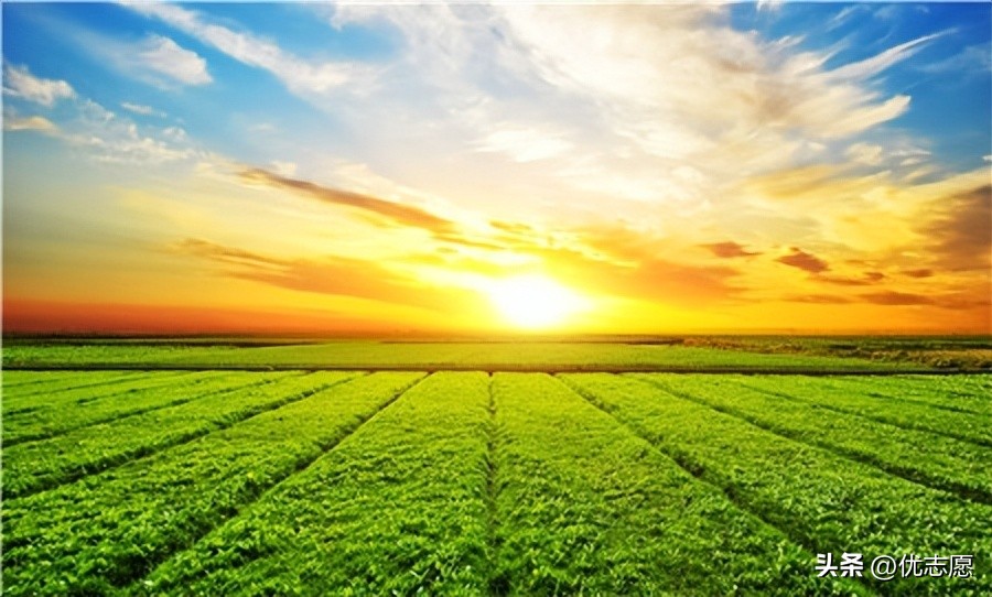 冷门专业中的高薪专业就业率高,十大冷门专业就业率排行